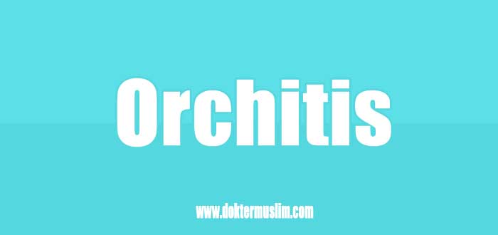 Radang Testis (Orchitis) : Gejala hingga Pengobatan