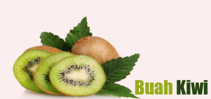 manfaat buah kiwi