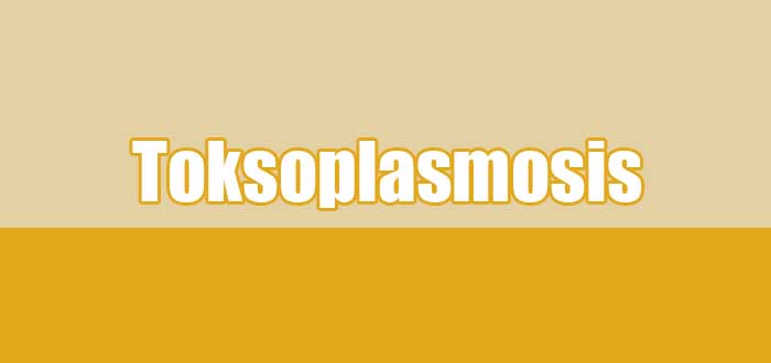 Toksoplasmosis (Infeksi Toksoplasma) : Gejala hingga Pengobatan