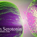 Sindrom Serotonin