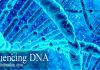 sequencing DNA