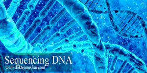 sequencing DNA