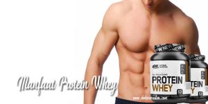 manfaat protein whey