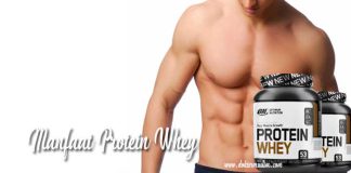 manfaat protein whey