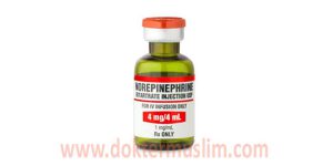 perbedaan epinefrin dan norepinefrin