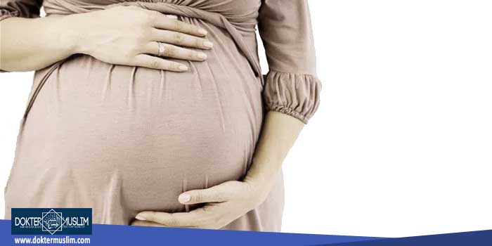 hamil 7 minggu panduan ibu hamil